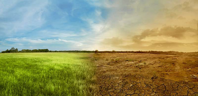 causas-del-cambio-climático